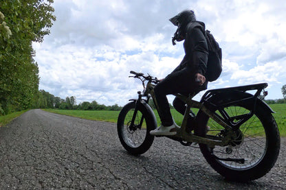 Cheetah Hunting Ebike