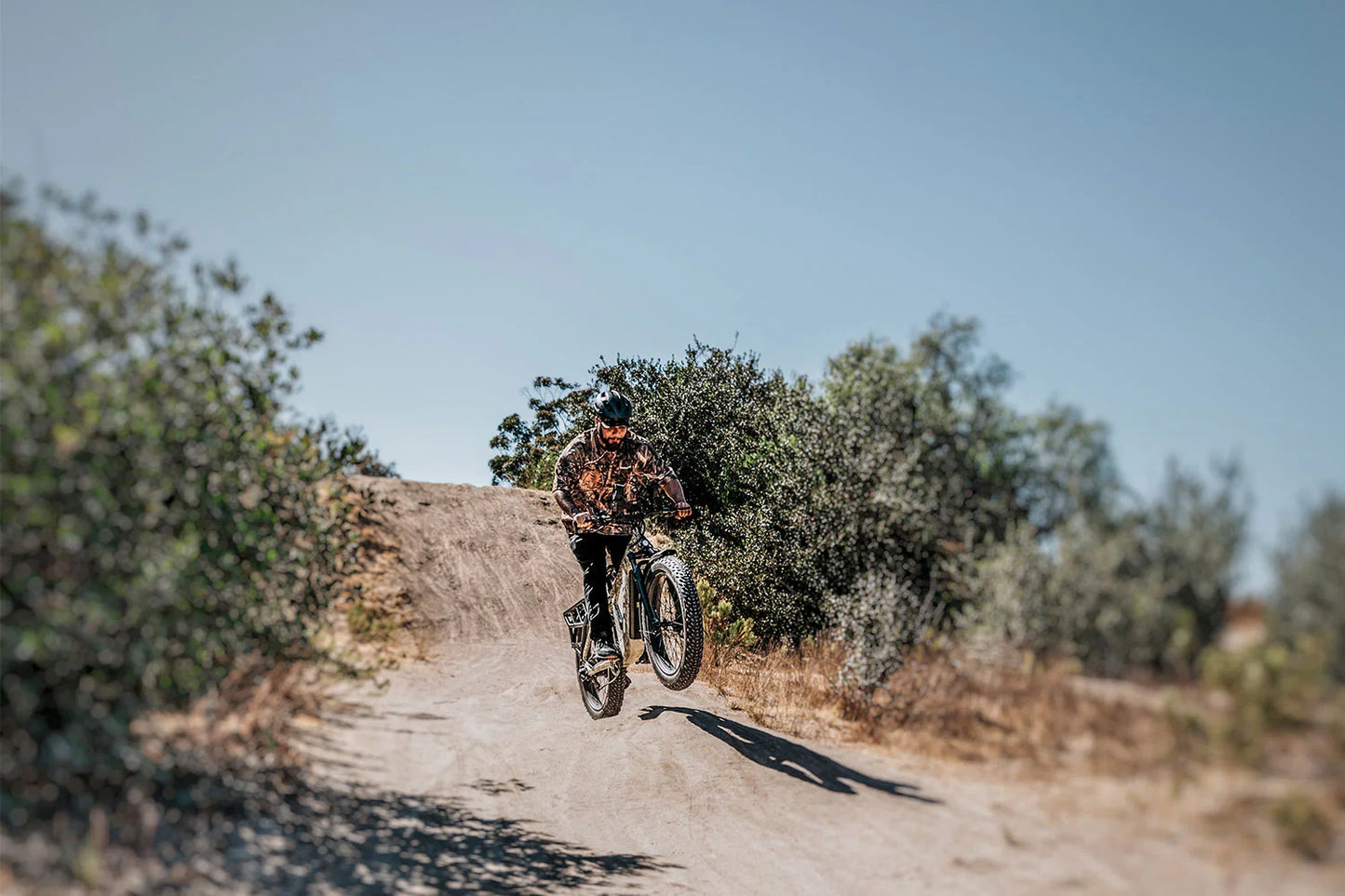Cheetah Hunting Ebike