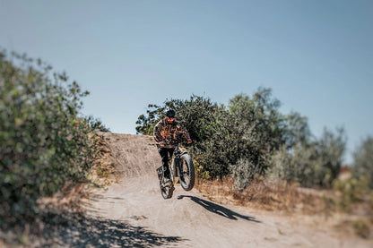 Cheetah Hunting Ebike