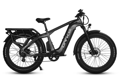 Cheetah Hunting Ebike