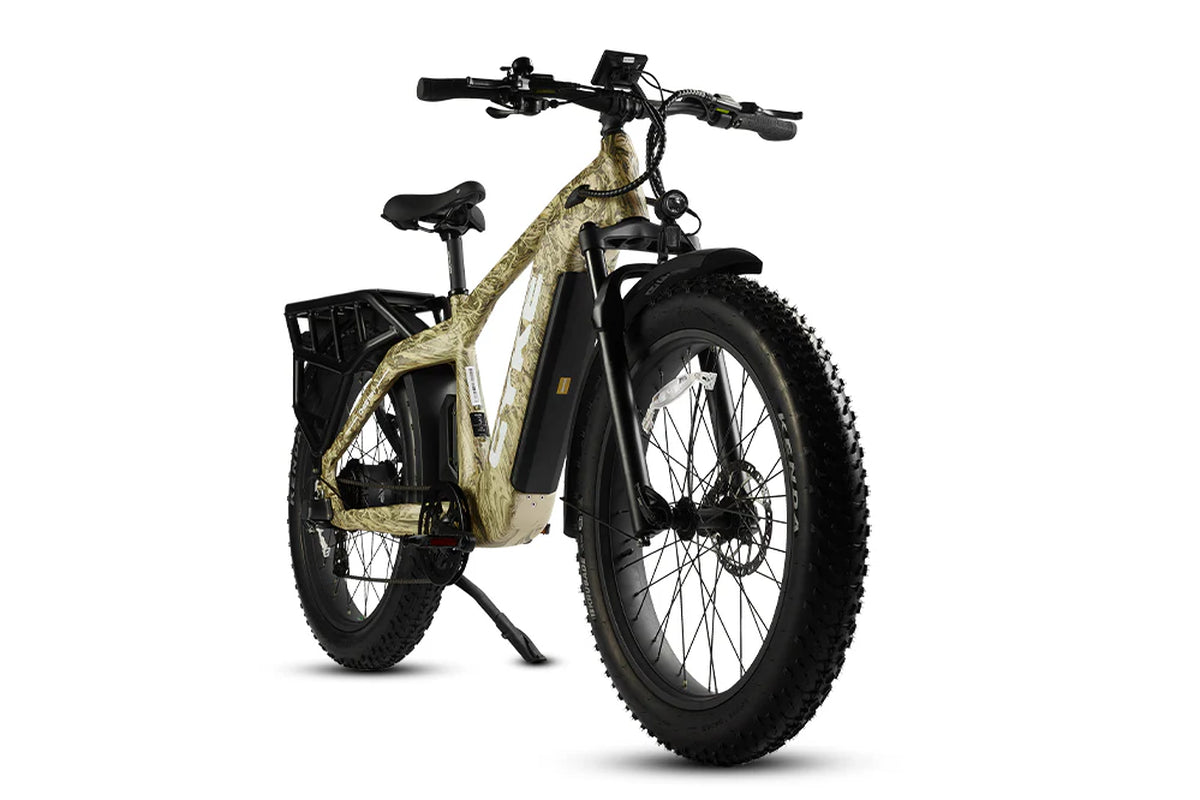 Cheetah Hunting Ebike