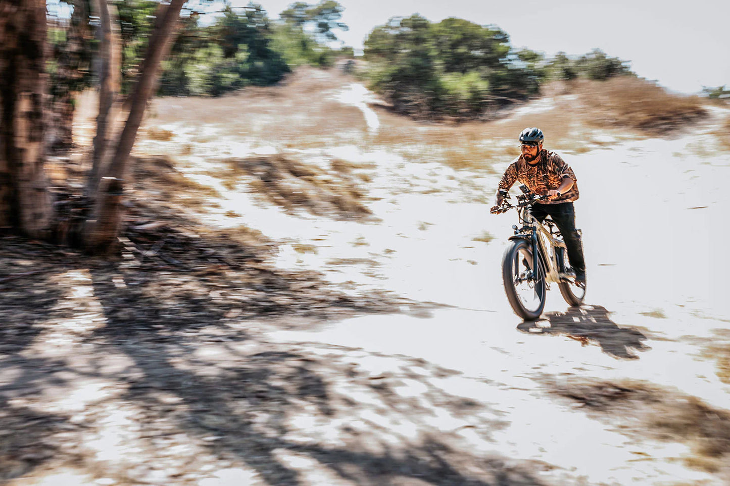 Cheetah Hunting Ebike