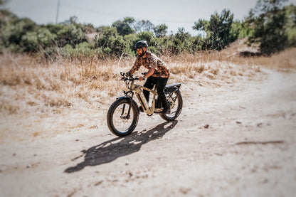 Cheetah Hunting Ebike