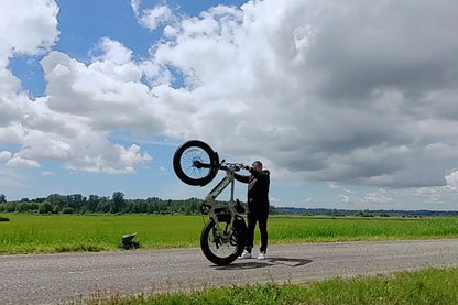 Cheetah Hunting Ebike